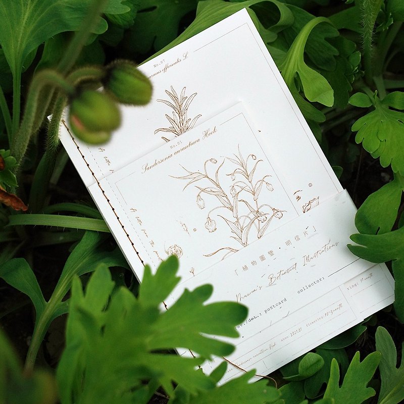 Sen/Senhuhuu original hand-painted botanical illustration series postcard book with intentional gift
