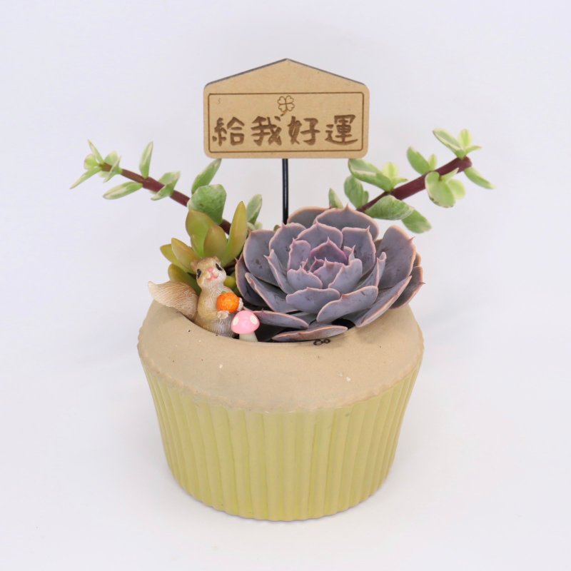 松鼠的小點心-多肉植物微景觀蛋糕盆栽(附插式字牌) - 盆栽/植栽 - 瓷 黃色