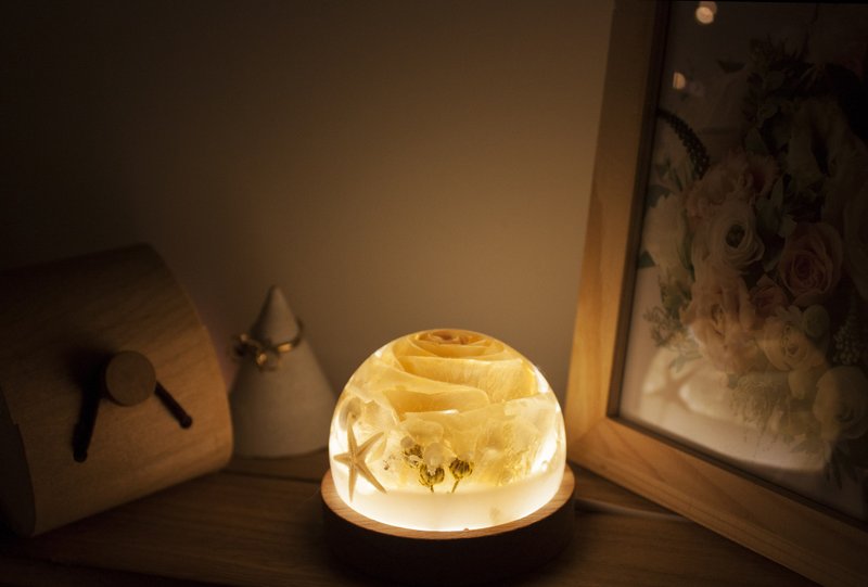 Eternal White Rose Night Light Dried Flower Atmosphere Lamp Handmade Gift Customized Birthday Gift Ornament - โคมไฟ - คริสตัล ขาว