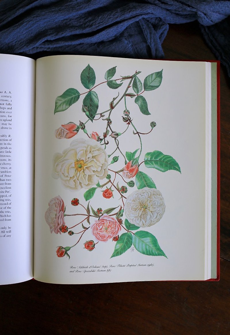 British 1987s [Flower painting] Hard shell hardcover edition / Rose retro old book