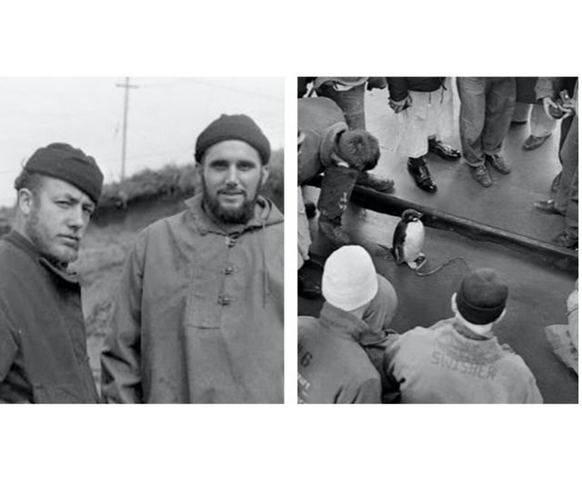 フランス ビンテージ 手編みの帽子 楽天市場】フランス アンティーク ハット 帽子 C34-2 : リカム