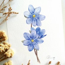 【原画】草花の詰め合わせ 産地直送 かすみ草 ご自宅用花束 ホワイト ／熊本