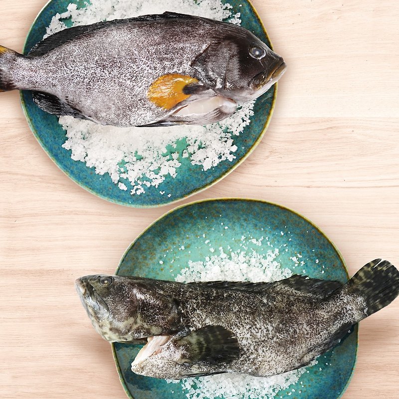 鵬魚 - 養殖ハタの石魚と最高の昆布塩の組み合わせ (ドリーム石、ドラゴン、タイガー石) - その他 - その他の素材 