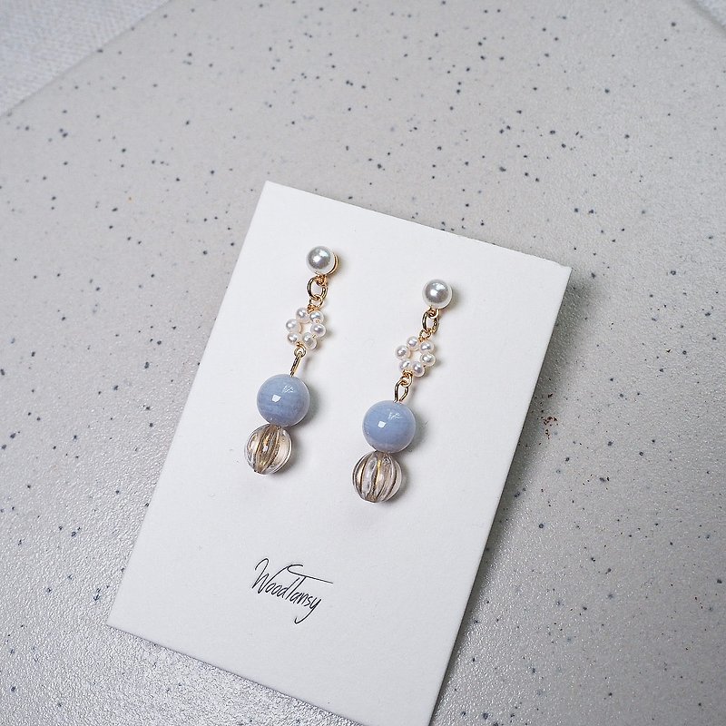 Blue Lace Agate Non allergic earrings