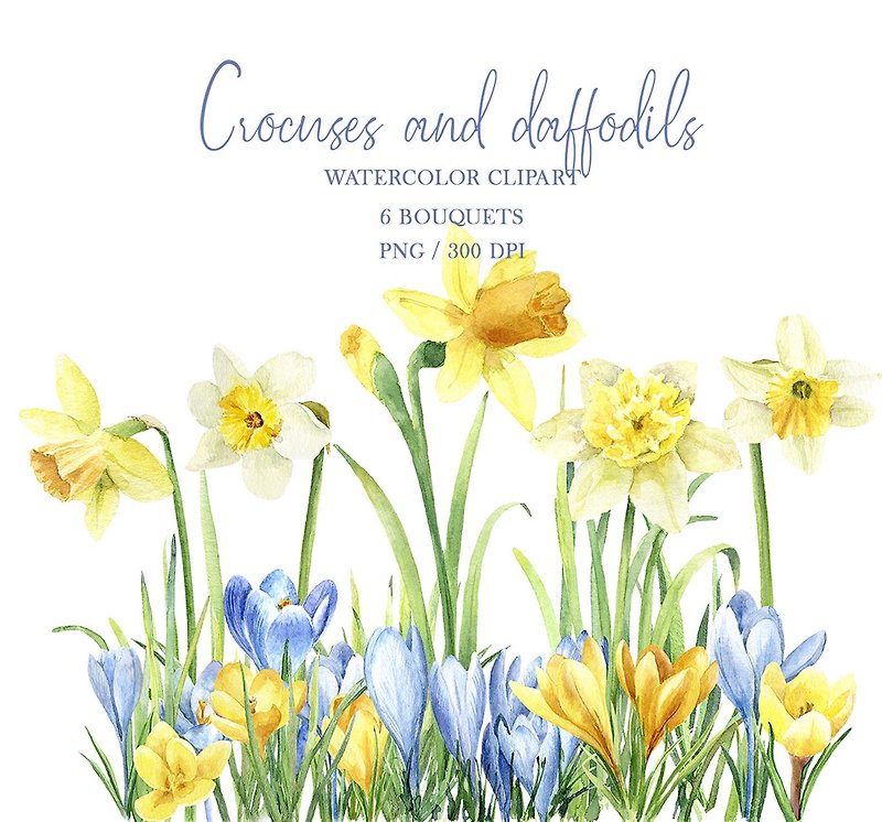 春の花の水彩クリップアート、クロッカスpng、水仙イラストpng