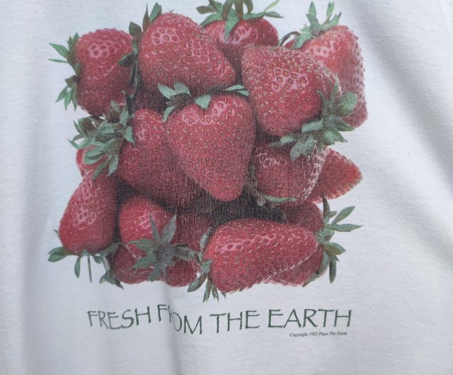 ビンテージ 90 年代フレッシュ フロム ザ アース ストロベリー