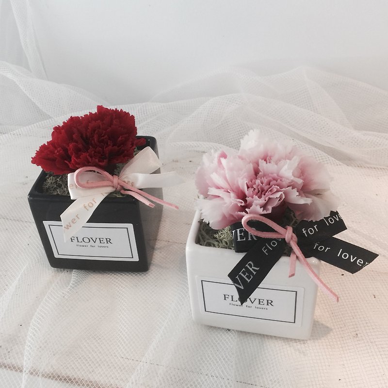Flover Fulla design Mother's Day limited edition small potted carnations eternal life - ตกแต่งต้นไม้ - พืช/ดอกไม้ 