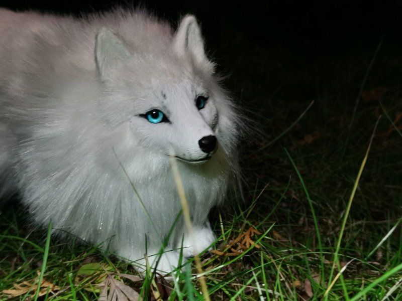 Made to order fox artdoll animal poseable - 公仔/玩偶 - 環保材質 白色