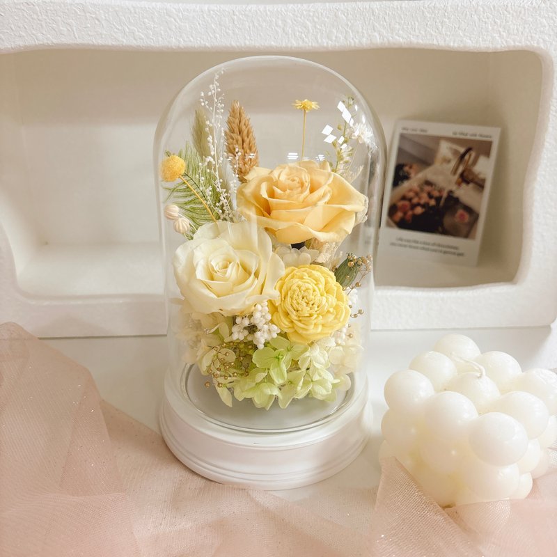 Everlasting flower night light glass shade-paipa touch light diffuser opening birthday gift yuflorist - ช่อดอกไม้แห้ง - พืช/ดอกไม้ หลากหลายสี