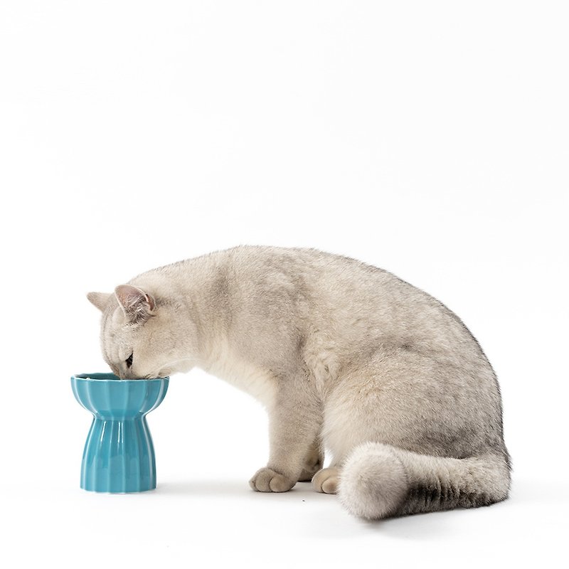 pidan眷戀貓碗 深水藍 - 寵物碗/碗架/自動餵食器 - 陶 藍色