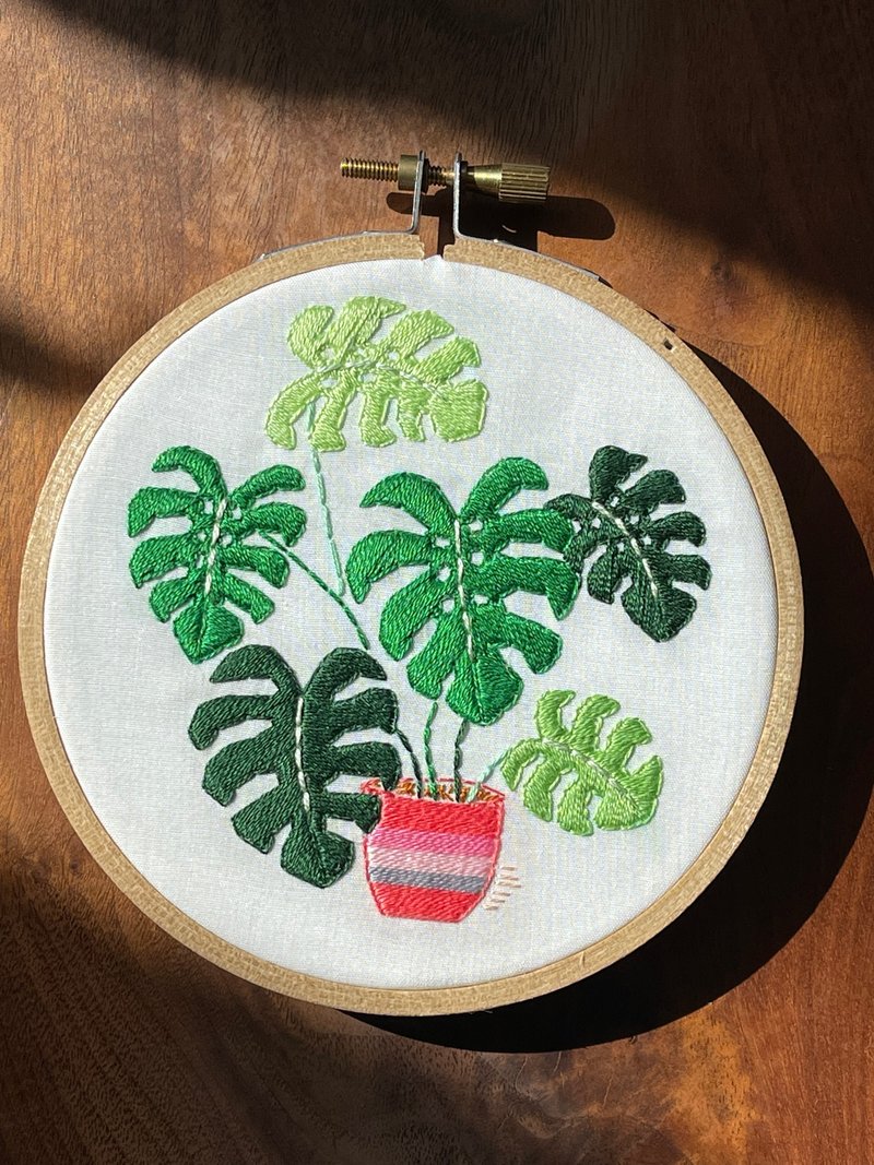 Vigorous monstera deliciosa 4-inch frame - Items for Display - Cotton & Hemp 