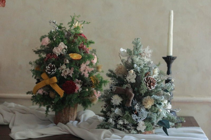 Christmas tree/Eternal flower - ช่อดอกไม้แห้ง - พืช/ดอกไม้ 