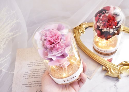 Carnation Rose Bouquet Glass Cover Carnation Preserved Flower Dried Flower Night Light Mother&amp;#39;s Day Gift Box
