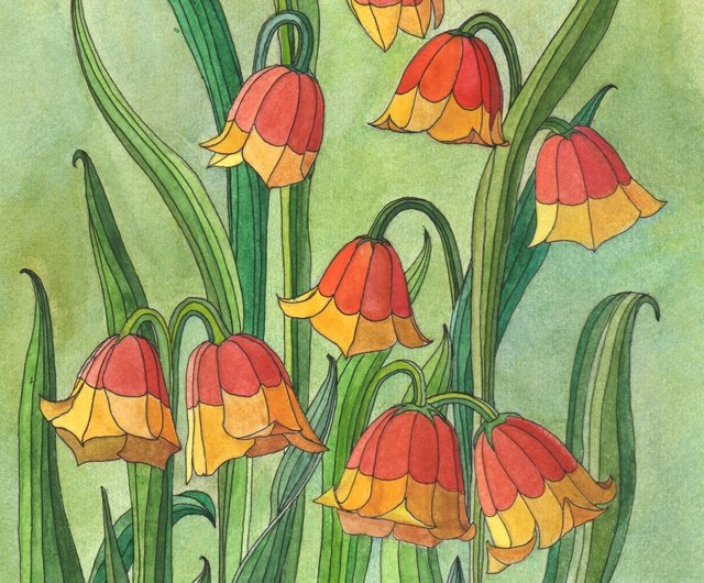 ベルフラワー オリジナル水彩画 25x16cm 植物イラスト ヒョウモン