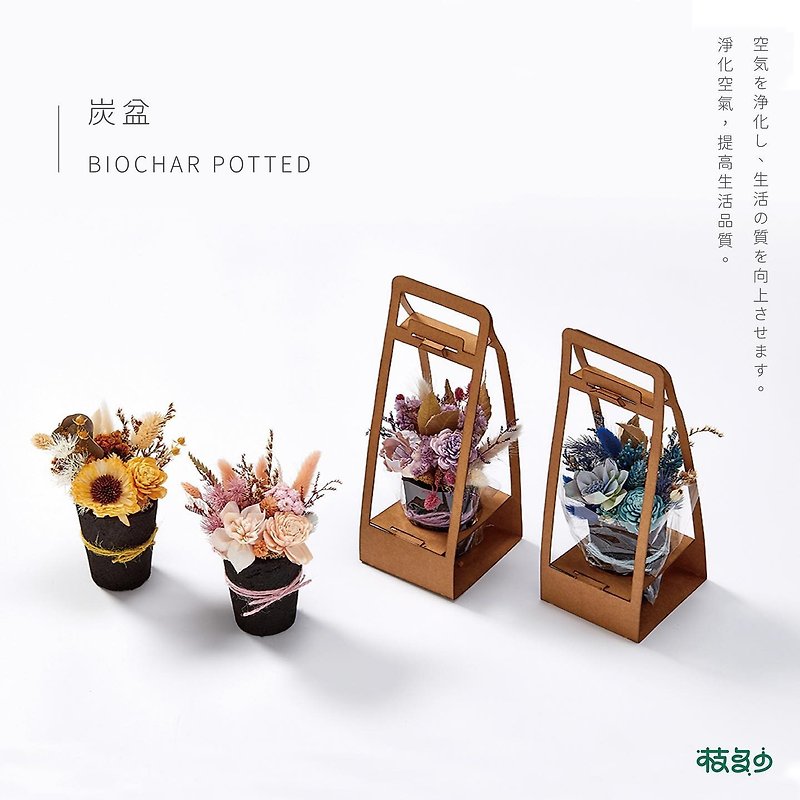 How many branches are immortal flower charcoal potted plants