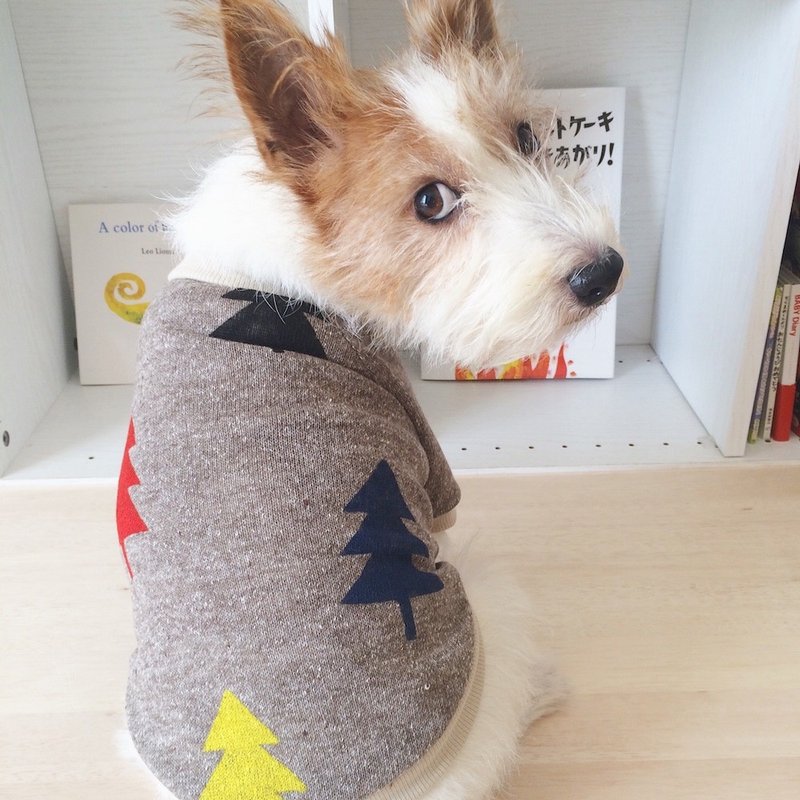 犬服ラグランシャツ「Tree」ブラウン　S - 寵物衣服 - 其他材質 咖啡色