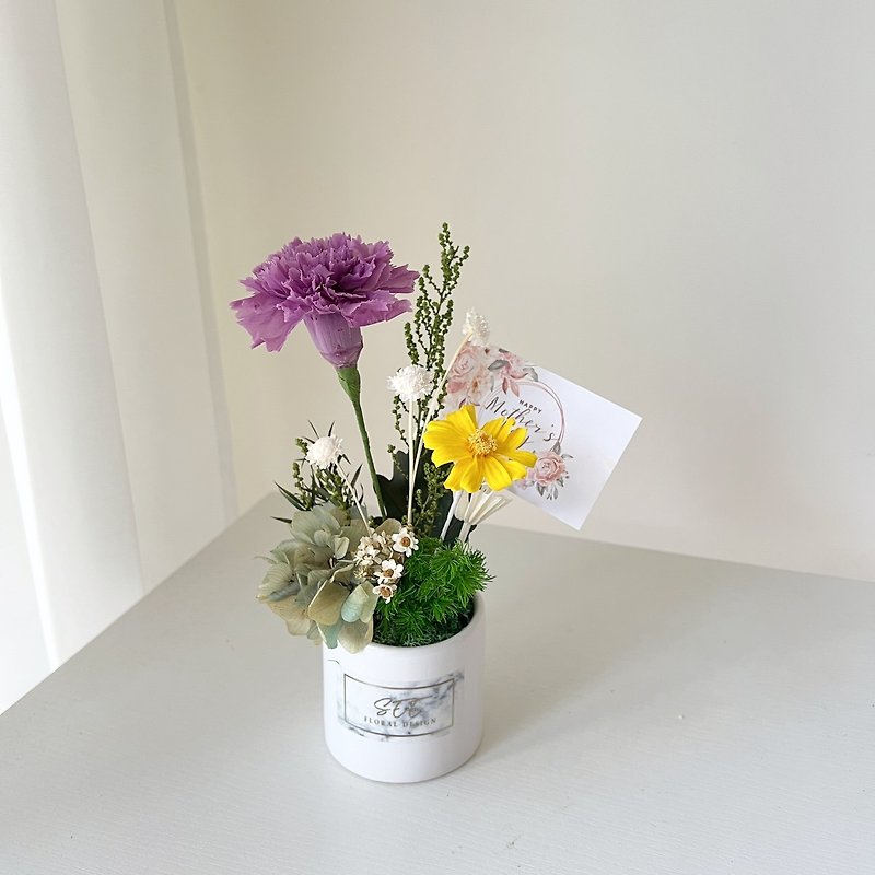 Lavender withering carnation small potted plant - ช่อดอกไม้แห้ง - พืช/ดอกไม้ 