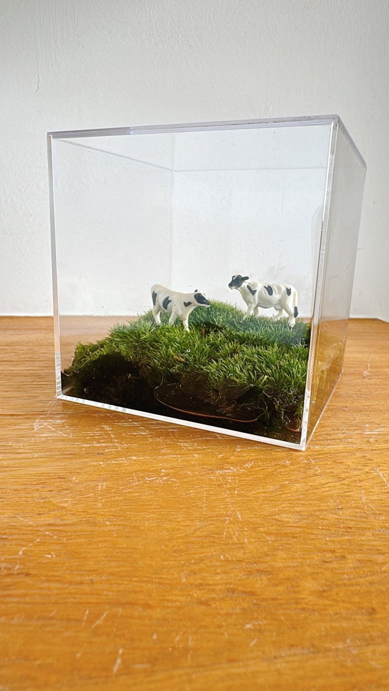 Animals on the pure natural grassland moss cow dog cat Acrylic box micro landscape animal - ตกแต่งต้นไม้ - พืช/ดอกไม้ สีเขียว