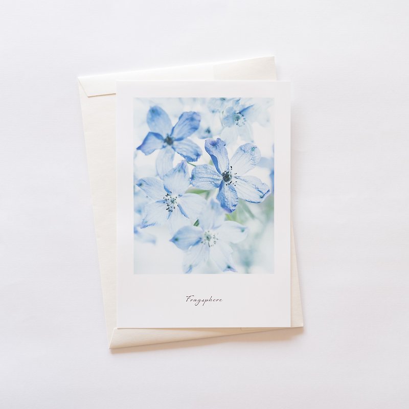 Flower lover Poster Fragsphere Edition Delphinium A4 Size FEWP-004A - โปสเตอร์ - กระดาษ 