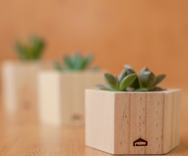 Contain Succulent Log Flower Pots, Small Wooden Flower Pots Designs