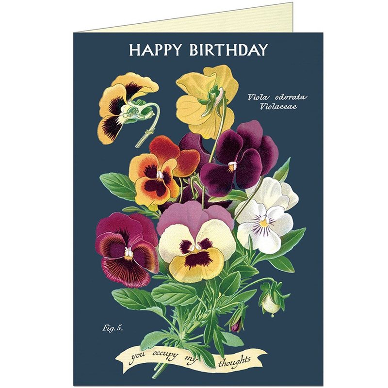 Cavallini & Co.  GREETING CARD 生日卡(大)_香堇菜 - 卡片/明信片 - 紙 多色