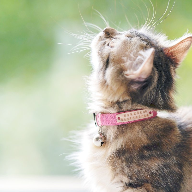 Less is more - Rose pink : Kittens Personalized Cat Collar,Breakaway Cat collar - Collars & Leashes - Linen Pink