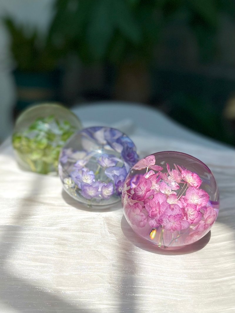 Natural real flower hydrangea specimen crystal ball plant gift decoration ornaments - ช่อดอกไม้แห้ง - พืช/ดอกไม้ 