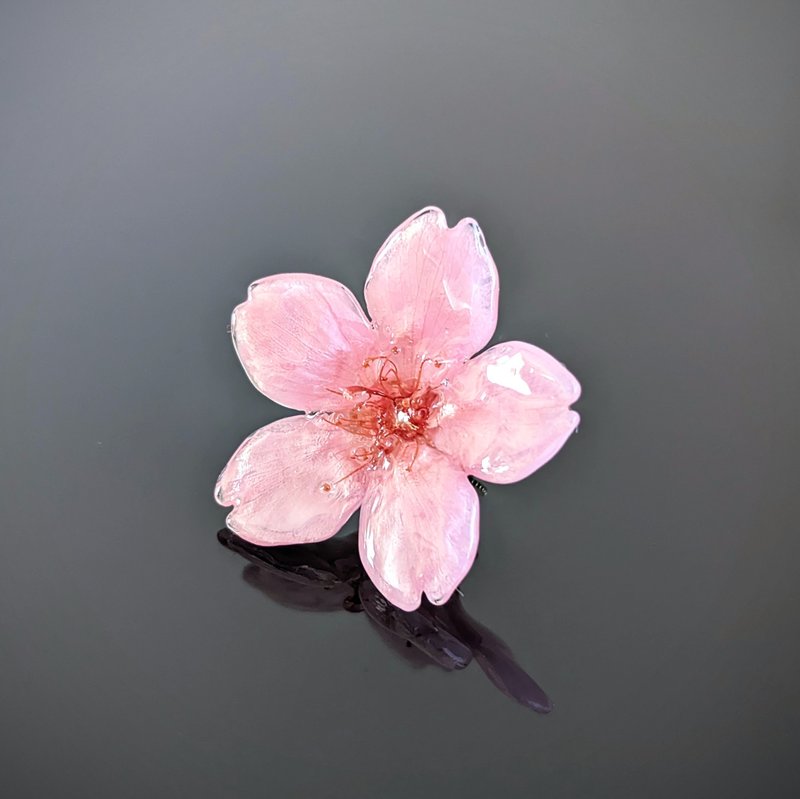 Early Bloom 本物のお花　 早咲き桜のタックピン  ピンブローチ  コサージュ  ブローチ - ブローチ - レジン ピンク