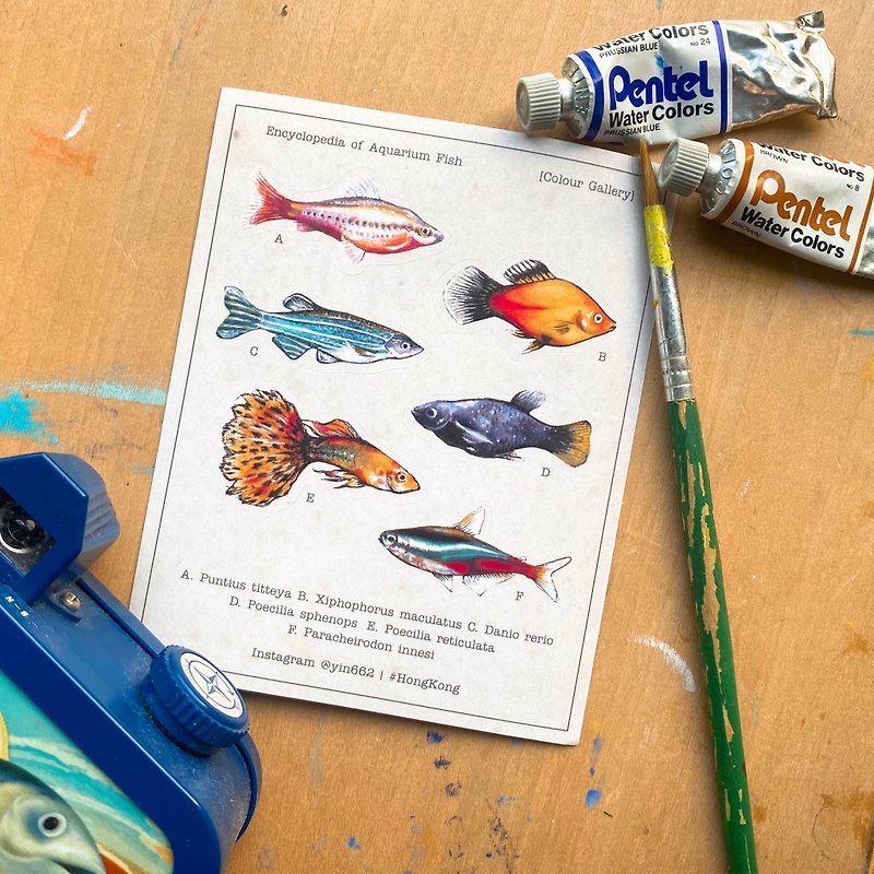 【Wonderful creature】Beautiful ornamental fishes - illustrated sticker - สติกเกอร์ - กระดาษ สีกากี