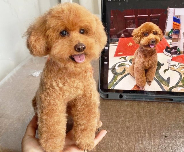 オーダーメイドペット】羊毛フェルト、うちの子 犬ぬいぐるみ、フェルト犬、羊毛犬、肖像画、犬猫人形 プレゼントやギフトに - ショップ  LifeXtyle おもちゃ - Pinkoi