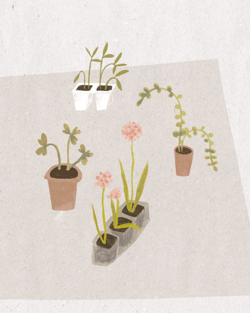 assorted a5 art-grade prints - grow, joy, friend - 卡片/明信片 - 紙 