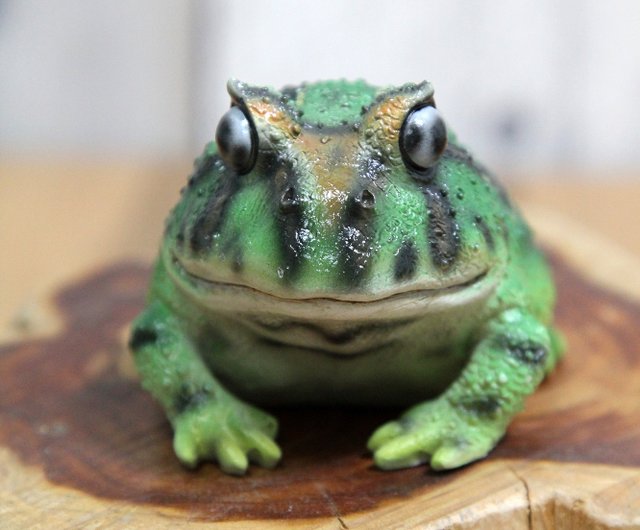 日本のMagnetsのユニークな文具 ツノガエル（緑色）のリアルなクリップ