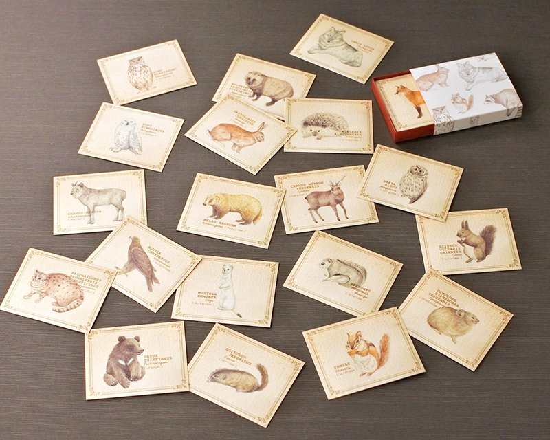 A small animal picture book style message card box - Cards & Postcards - Paper 