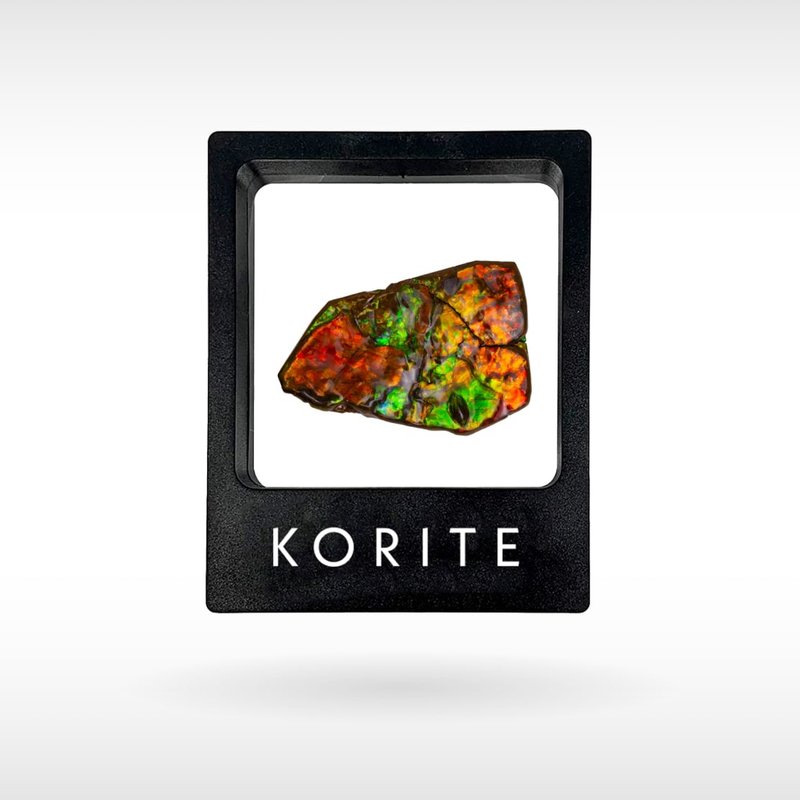 Freeform Ammolite - Handheld - Items for Display - Gemstone 