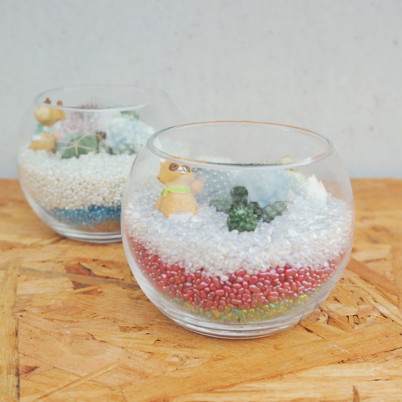 エンドウ豆多肉植物と小さな食料品 - 艶をかけられた石DIYサボテンの植栽の組み合わせ - 観葉植物 - ガラス 