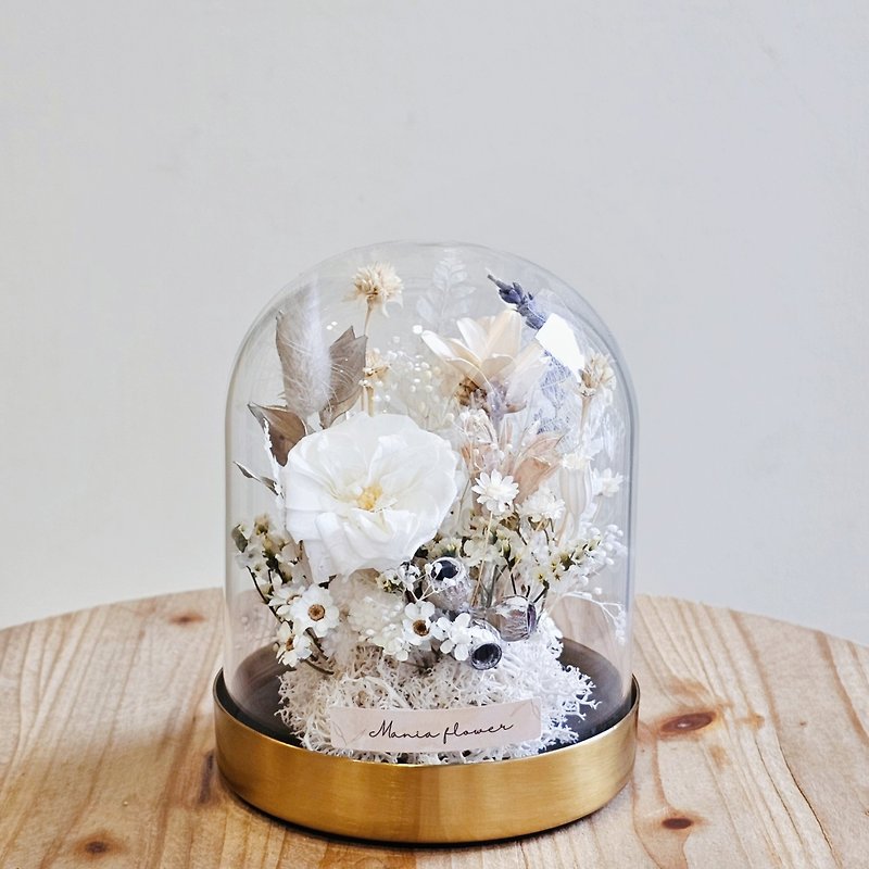 Glass bell series, gold base, white, ready for shipment, quick delivery - Dried Flowers & Bouquets - Plants & Flowers White