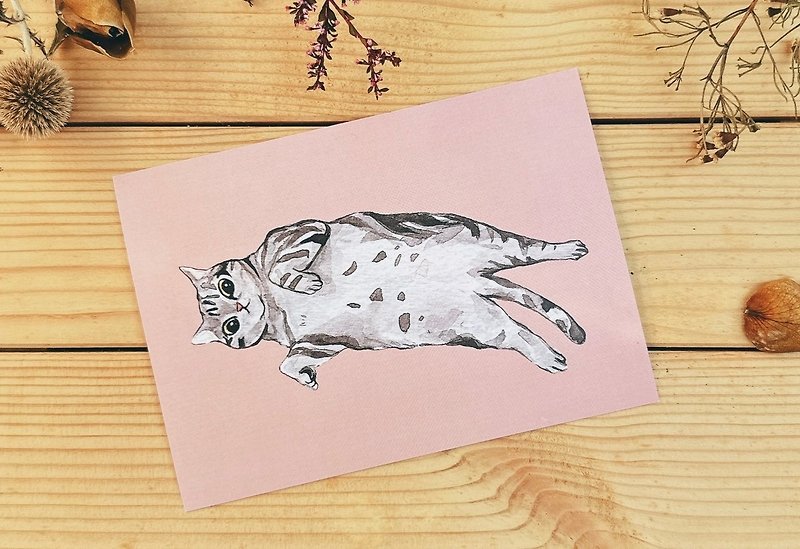 貓明信片 就是美短 - 卡片/明信片 - 紙 粉紅色