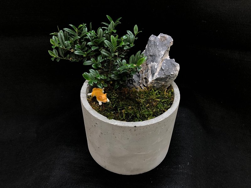 Moss Ecological Cement Pot - Shiba Inu Small Tree - ตกแต่งต้นไม้ - พืช/ดอกไม้ สีเขียว