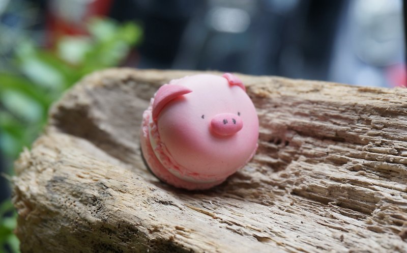 [Parental experience course] clay x pink pig macaron magnet - Other - Clay Pink
