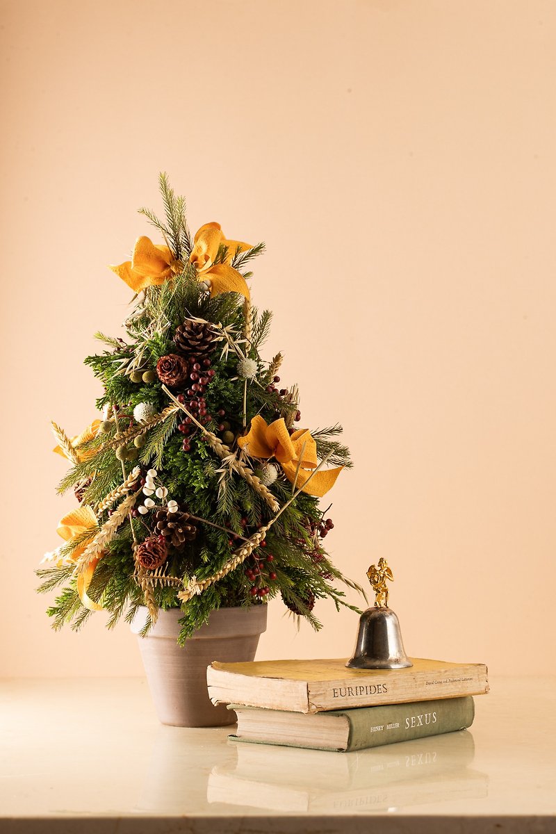 聖誕樹 | 聖誕禮物 聖誕活動 交換禮物 客製化 花禮 棉花 - 乾花/永生花 - 植物．花 綠色