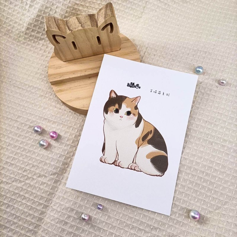 ME183-102_我紙在乎你百喵萌明信片_ill.timing Hundred meow cute postcard - Cards & Postcards - Paper Multicolor