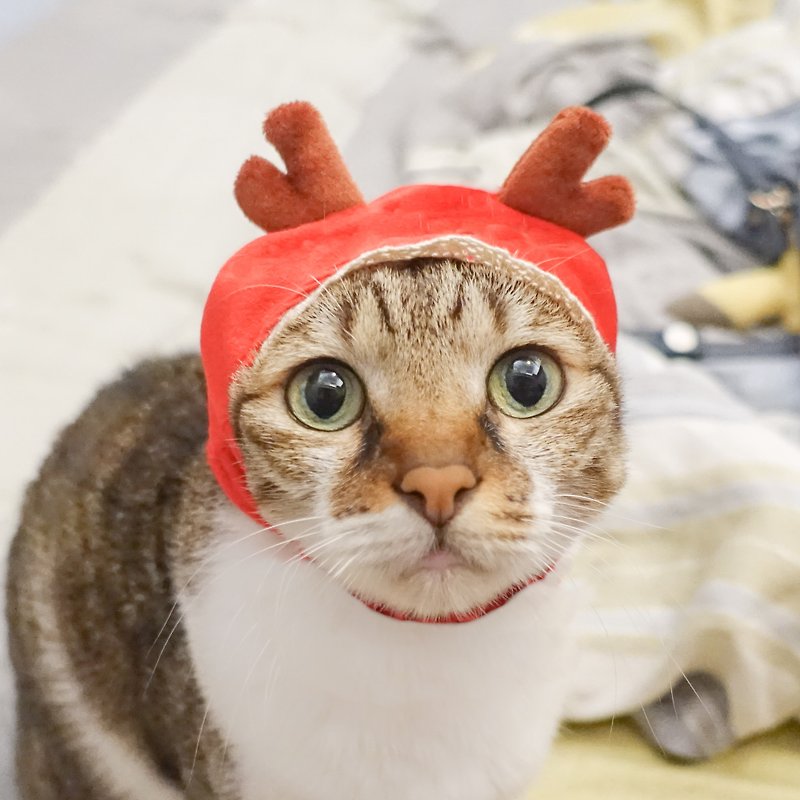 小紅帽麋鹿寵物貓狗帽子頭套*S號 - 寵物衣服 - 聚酯纖維 紅色
