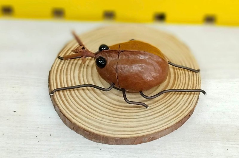 獨角仙磁鐵-果實種子藝術創作 - 磁鐵 - 其他材質 