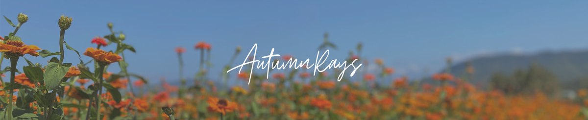 AutumnRays Design