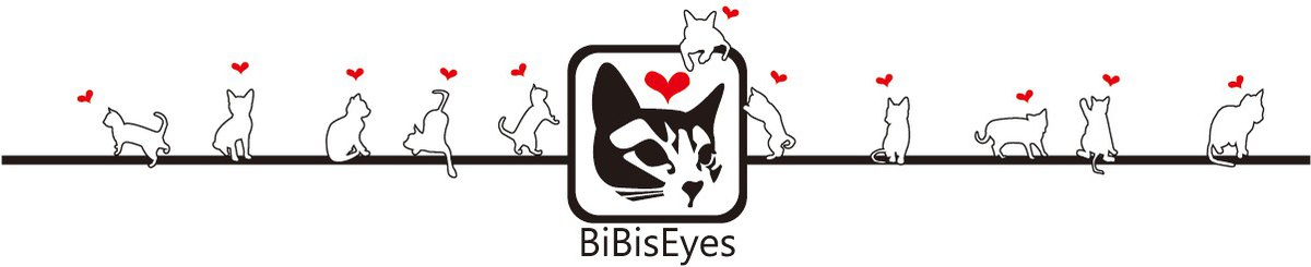 設計師品牌 - bibiseyes