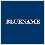  Designer Brands - bluenamebag