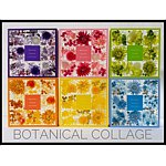 設計師品牌 - botanical-collage