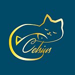 設計師品牌 - Celsius Art Studio