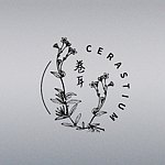 デザイナーブランド - cerastium