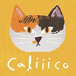  Designer Brands - CALIIICO